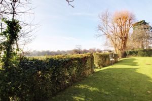 Photo 15- click for photo gallery